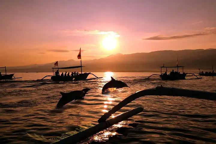 Dolphins